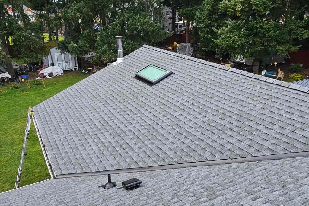 Residential roof featuring skylight and vents